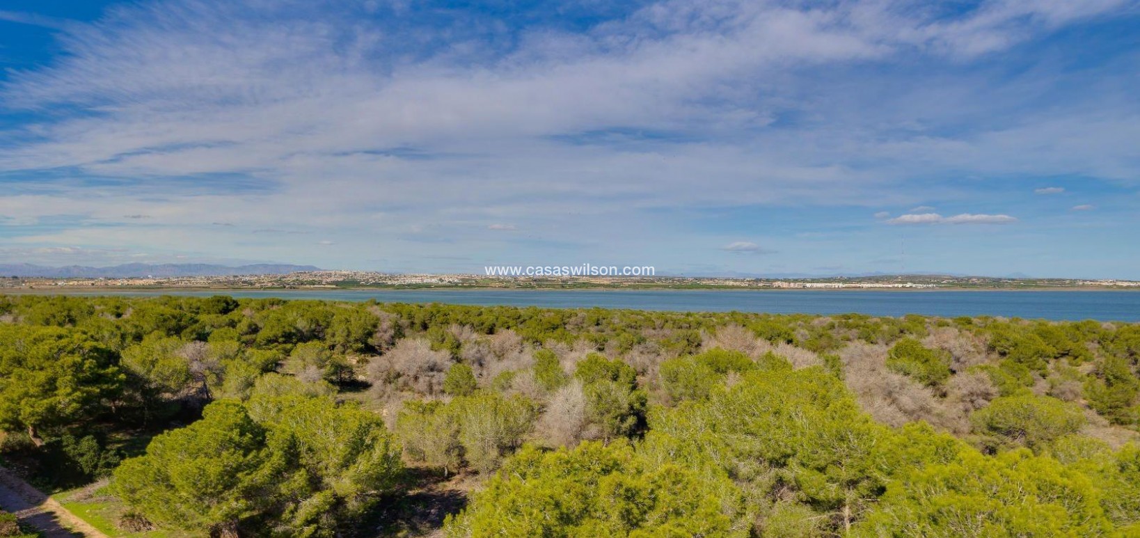 Sale - Apartment - Torrevieja - La Siesta - El Salado - Torreta