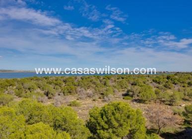 Sale - Apartment - Torrevieja - La Siesta - El Salado - Torreta