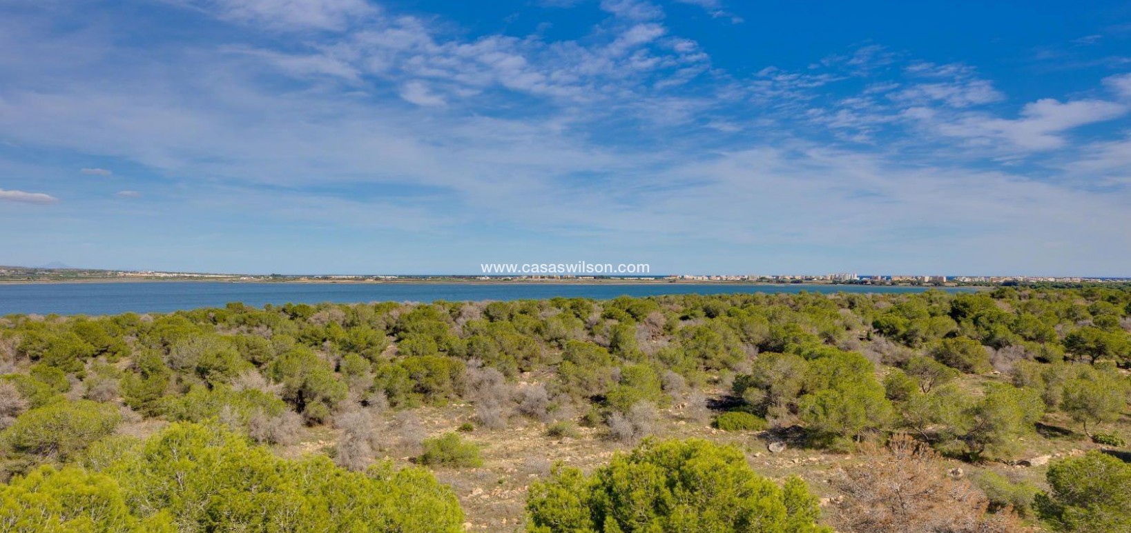 Sale - Apartment - Torrevieja - La Siesta - El Salado - Torreta
