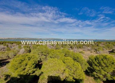 Sale - Apartment - Torrevieja - La Siesta - El Salado - Torreta