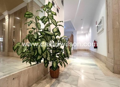 Sale - Appartement - Torrevieja