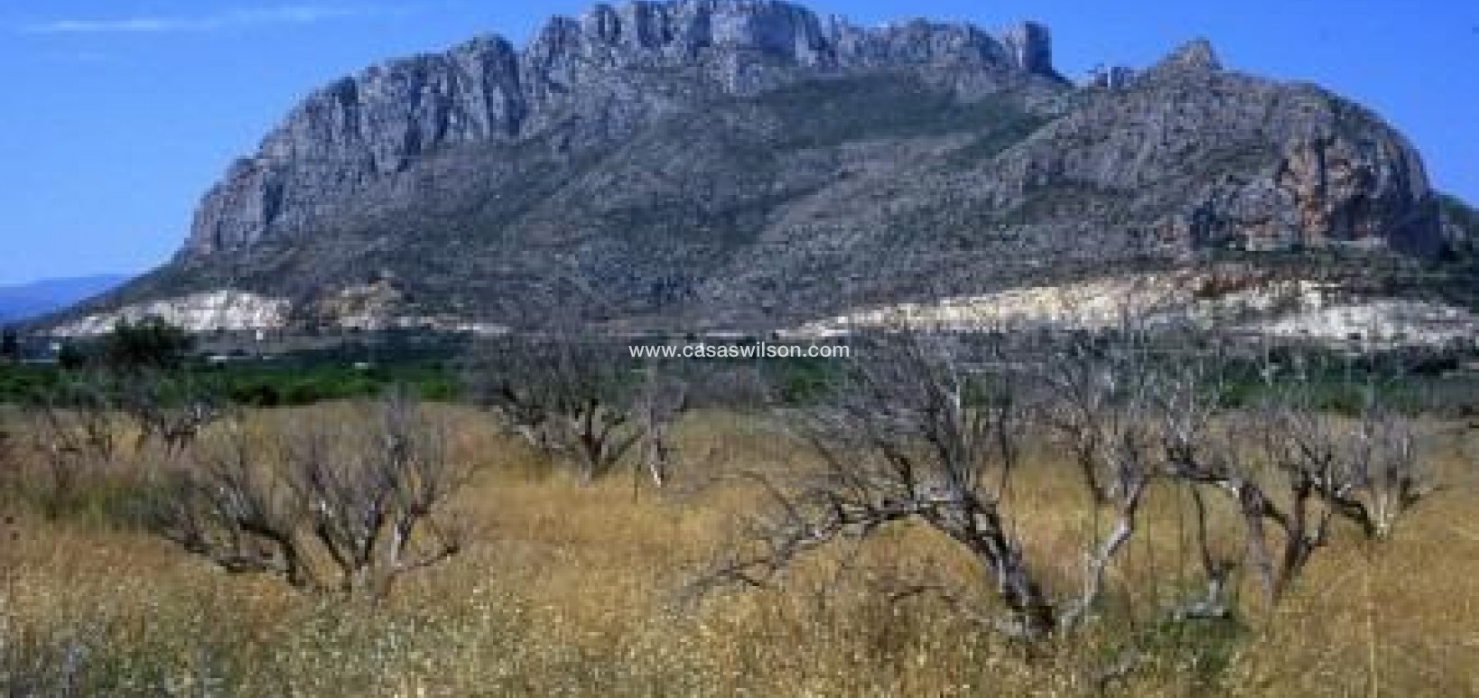 Nueva construcción  - Apartamento - El Verger