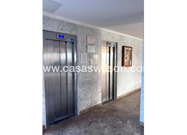 Sale - Apartment - Torrevieja - Playa de los Locos