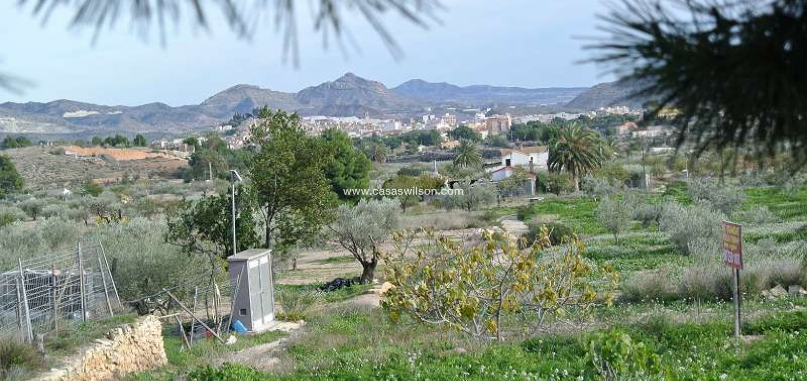 Sale - Country Property/Finca - Monóvar/Monóver - Inland