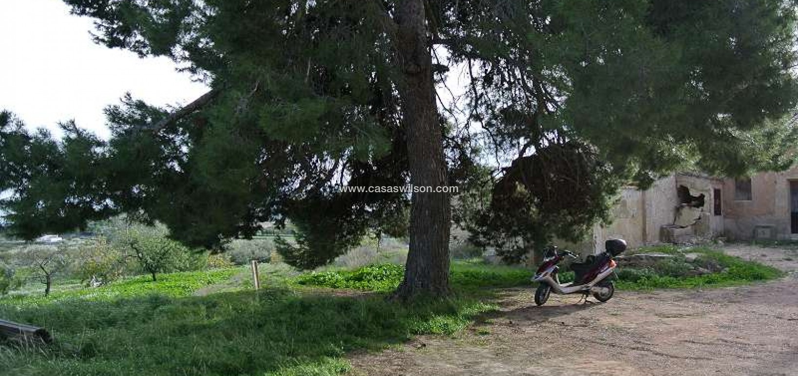 Sale - Country Property/Finca - Monóvar/Monóver - Inland