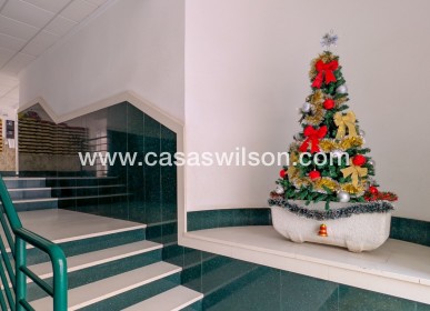 Sale - Apartment - Torrevieja - Costa Blanca