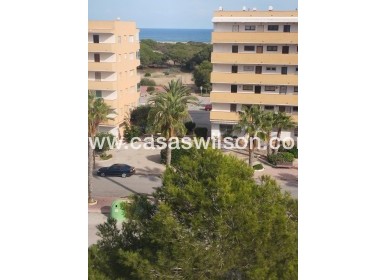 Sale - Apartment - Guardamar del Segura - Pinomar