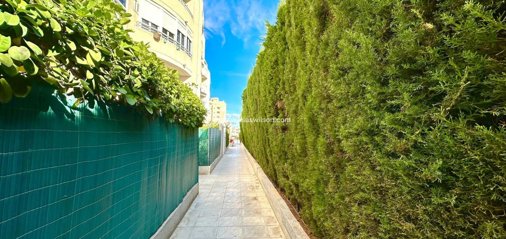 Sale - Apartment - Torrevieja - Playa del Cura