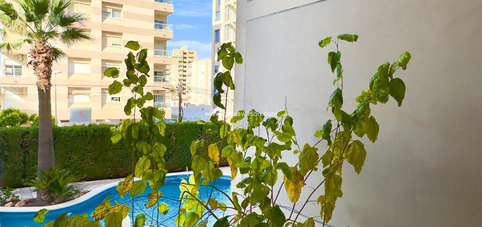 Sale - Apartment - Torrevieja - Playa del Cura