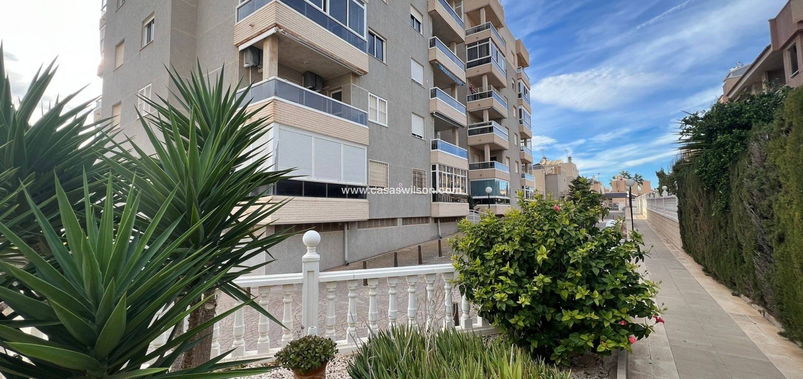 Sale - Apartment - Torrevieja - Aguas Nuevas