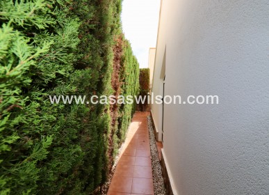Sale - Villa - Guardamar del Segura - El Raso