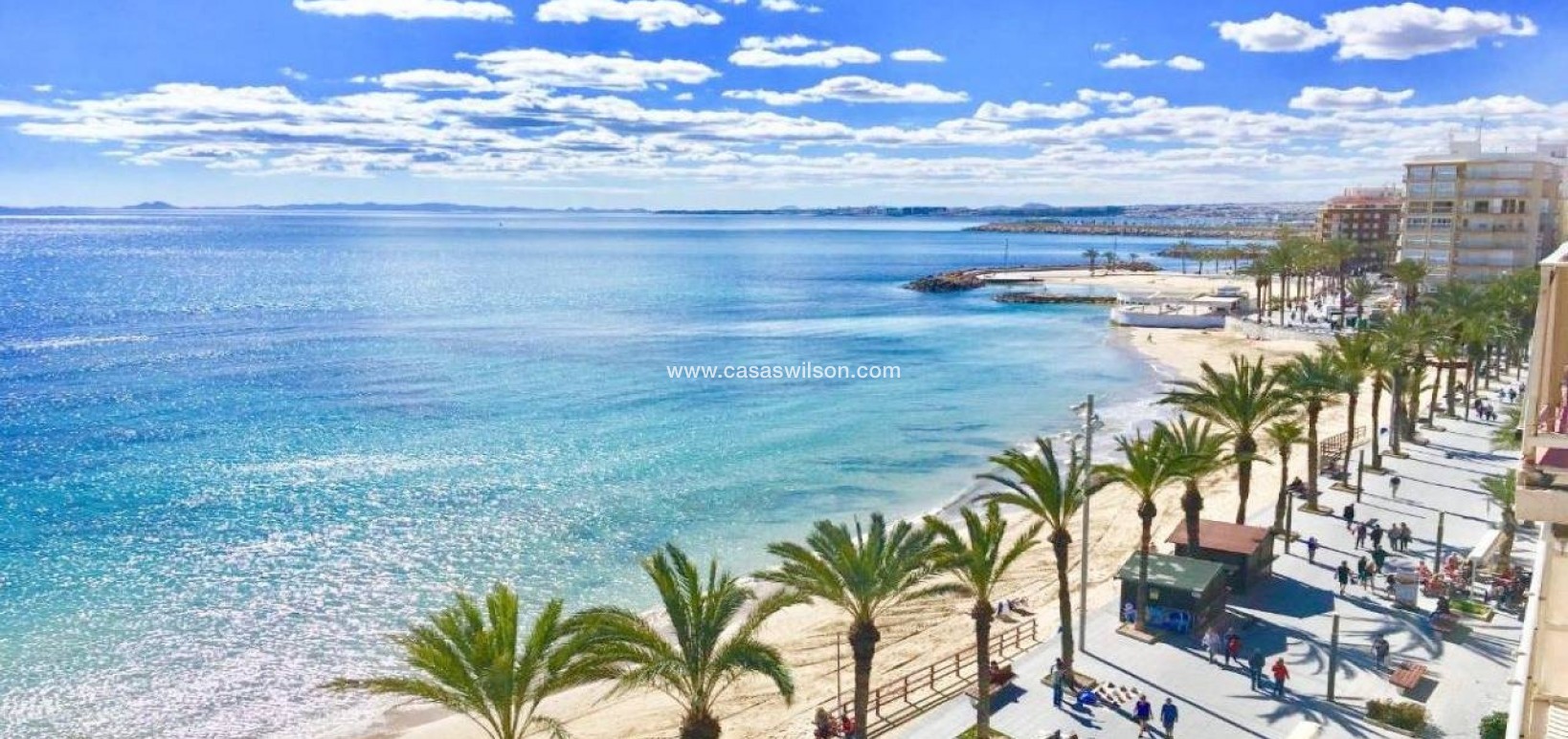 New Build - Bungalow - Torrevieja - Lago Jardín II