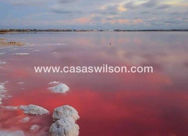 New Build - Bungalow - Torrevieja - Lago Jardín II