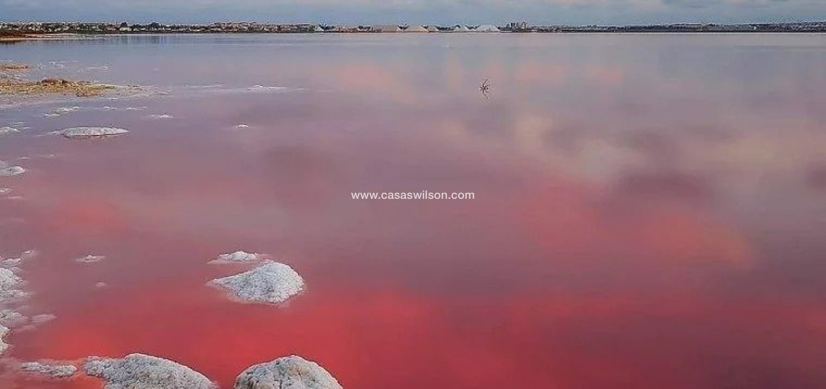 New Build - Bungalow - Torrevieja - Lago Jardín II