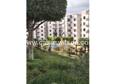 Sale - Appartement - San Miguel de Salinas - Inland