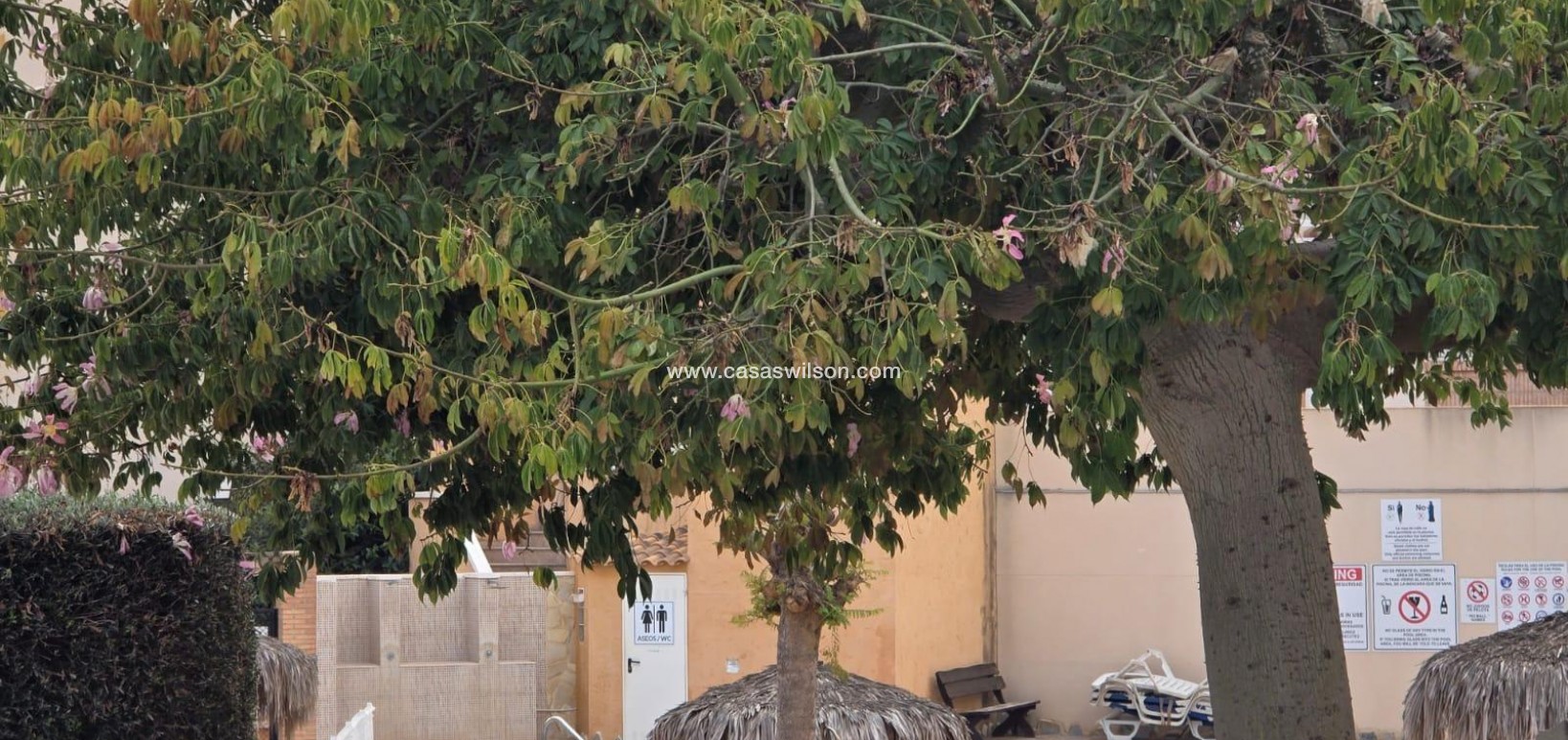 Sale - Appartement - Orihuela Costa - Lomas De Cabo Roig-los Dolses