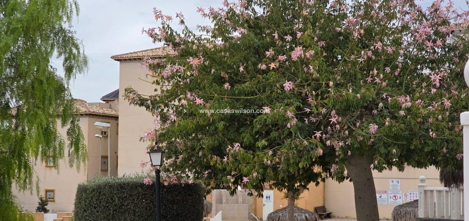 Sale - Appartement - Orihuela Costa - Lomas De Cabo Roig-los Dolses