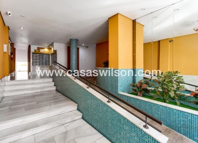 Venta - Apartamento - Torrevieja - Centro