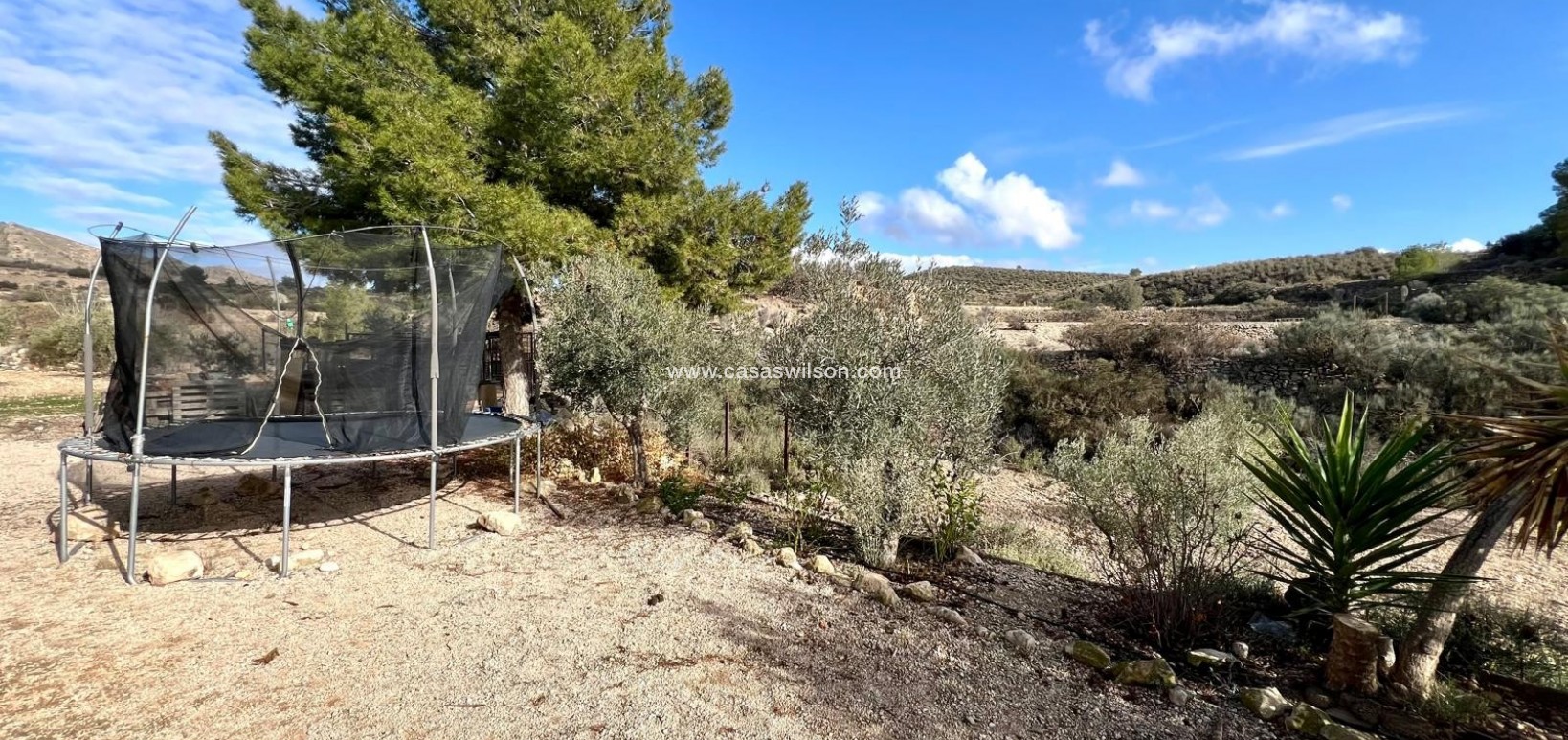 Sale - Country Property/Finca - Monóvar/Monóver - Inland