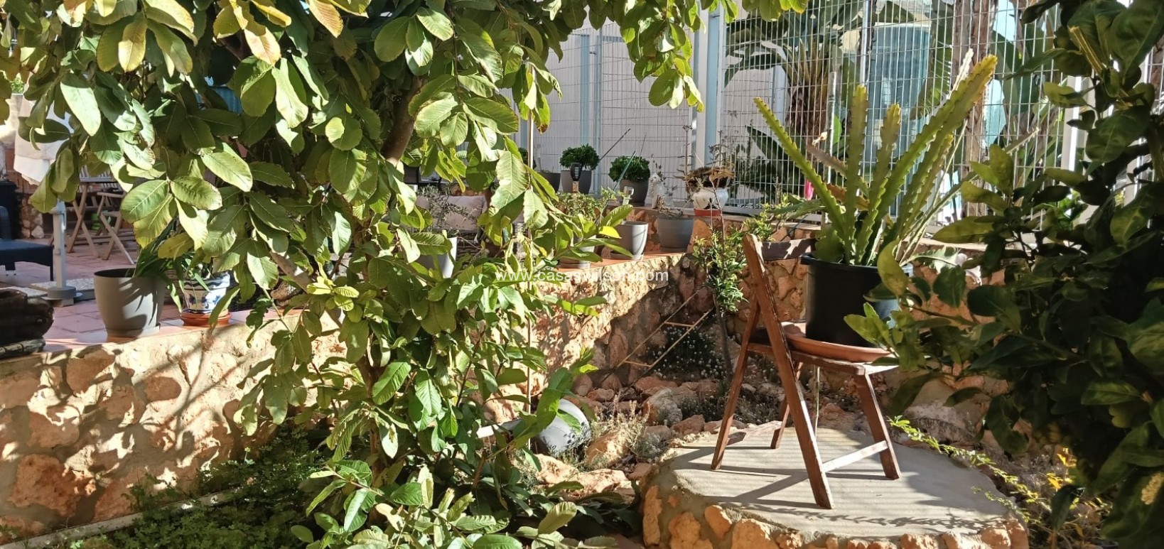 Sale - Apartment - Los Montesinos - Costa Blanca