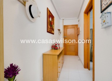 Sale - Appartement - Torrevieja - Acequion