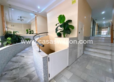 Sale - Apartment - Torrevieja - Estacion De Autobuses