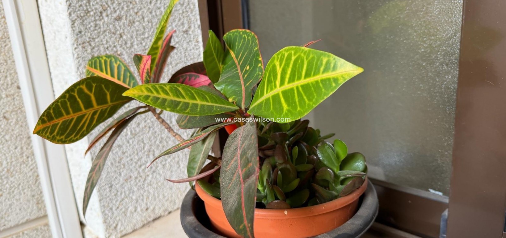 Sale - Apartment - Orihuela Costa - Las Ramblas 