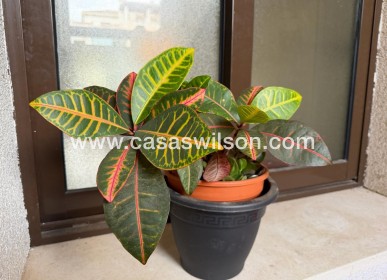 Sale - Apartment - Orihuela Costa - Las Ramblas 