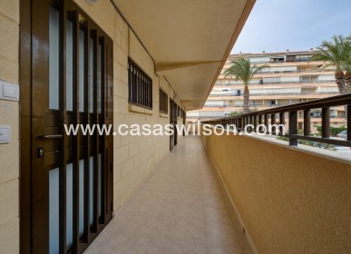 Sale - Apartment - Torrevieja - Cabo Cervera