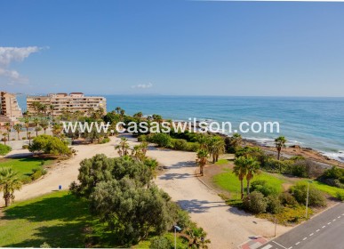 Sale - Apartment - Torrevieja - Cabo Cervera