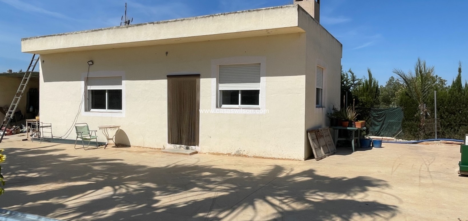 Sale - Villa - Crevillente - Inland
