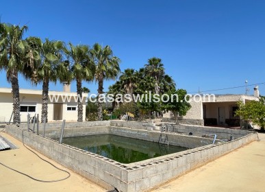 Sale - Villa - Crevillente - Inland