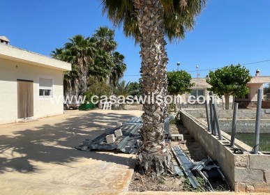 Sale - Villa - Crevillente - Inland