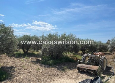 Sale - Villa - Crevillente - Inland