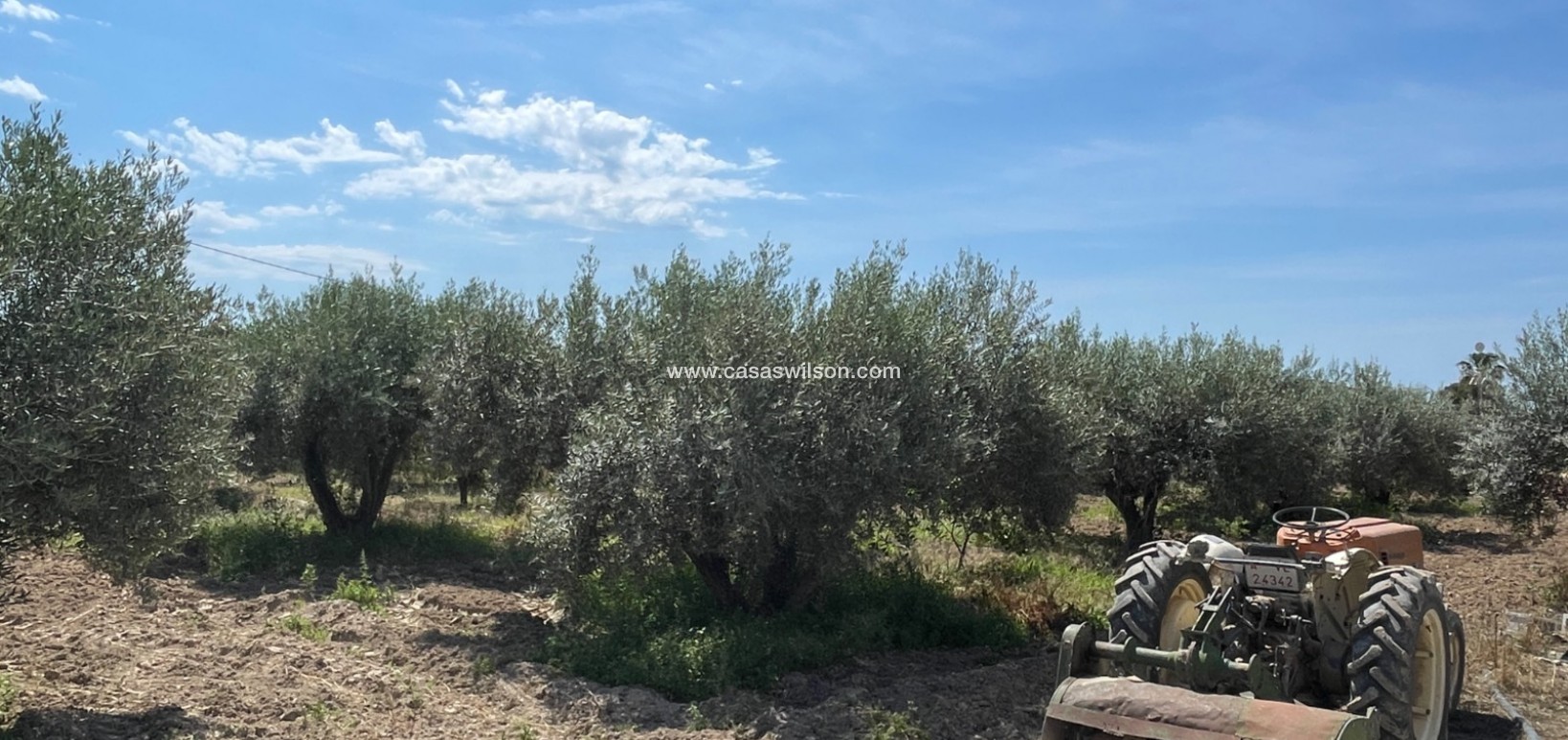 Sale - Villa - Crevillente - Inland