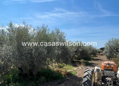 Sale - Villa - Crevillente - Inland