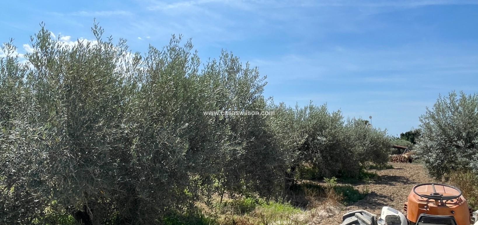 Sale - Villa - Crevillente - Inland