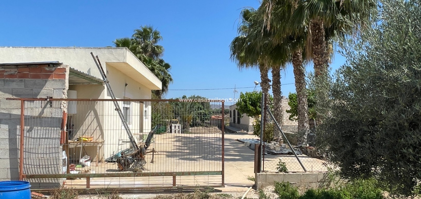Sale - Villa - Crevillente - Inland