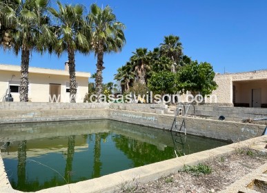 Sale - Villa - Crevillente - Inland