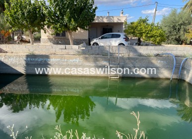 Sale - Villa - Crevillente - Inland