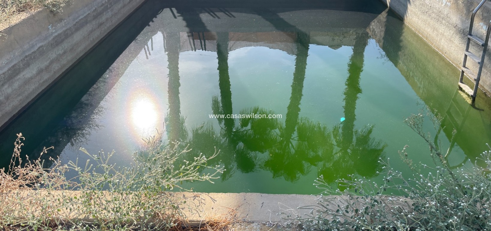 Sale - Villa - Crevillente - Inland