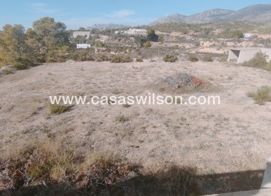 Sale - Villa - Crevillente - Inland