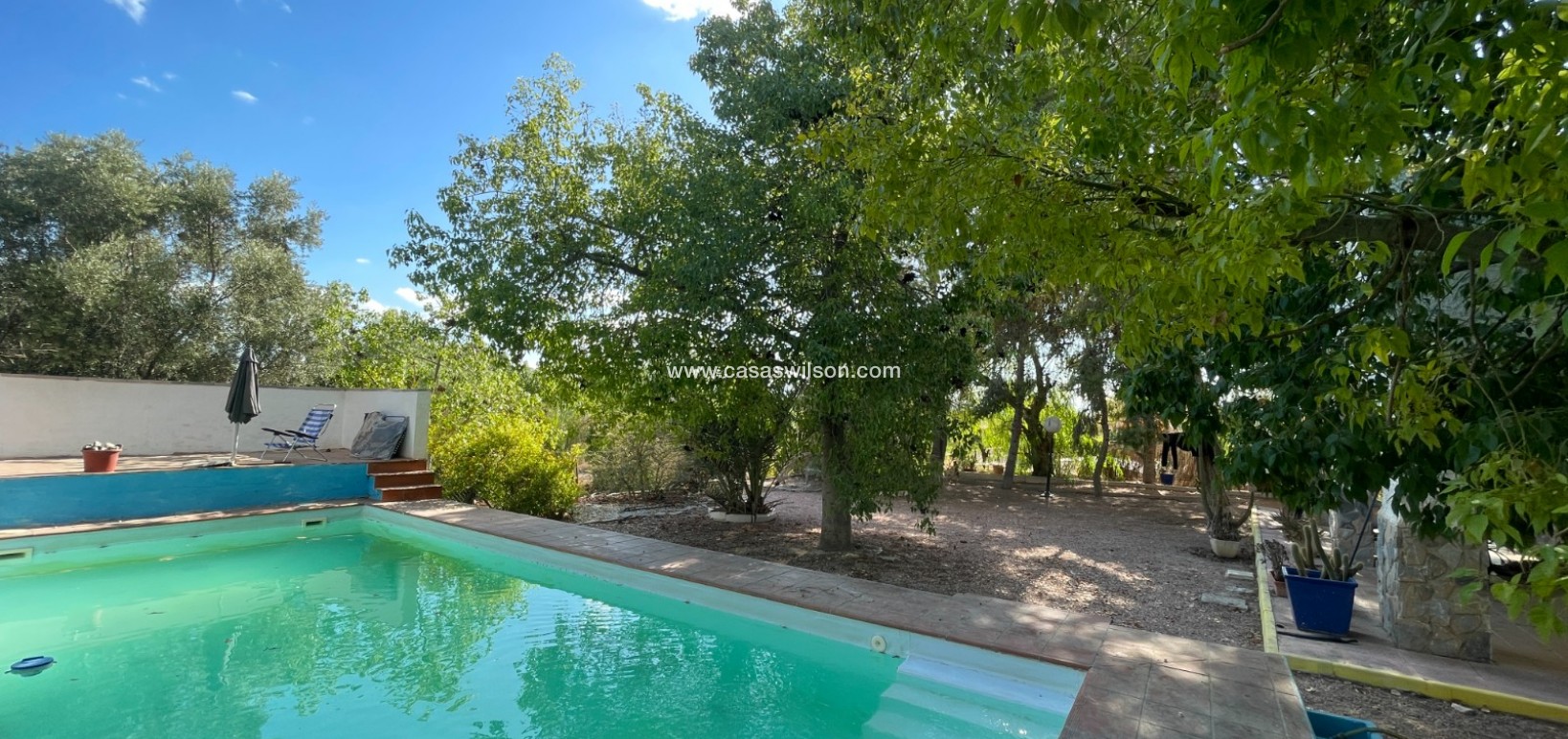 Sale - Country Property/Finca - Albatera - Inland
