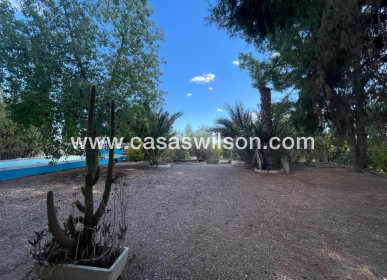 Sale - Country Property/Finca - Albatera - Inland