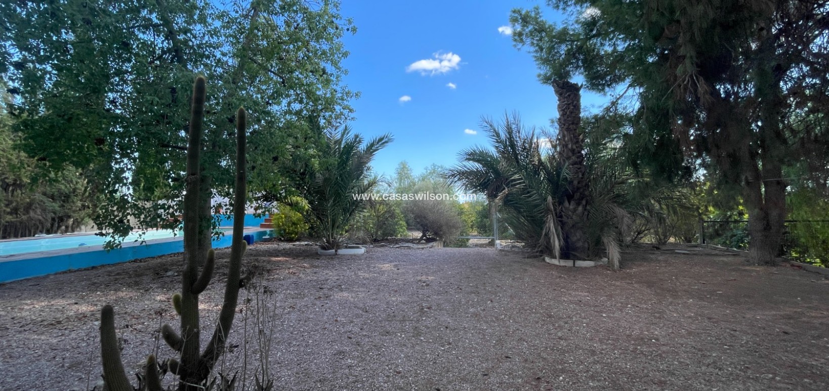 Sale - Country Property/Finca - Albatera - Inland