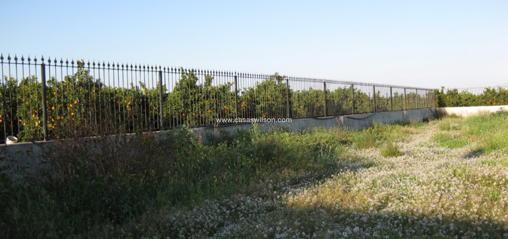 Sale - Country Property/Finca - Benferri - Inland