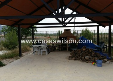 Sale - Country Property/Finca - Benferri - Inland
