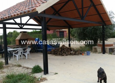 Sale - Country Property/Finca - Benferri - Inland