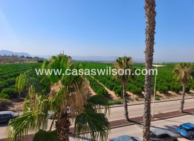 Sale - Apartment - Algorfa - Inland