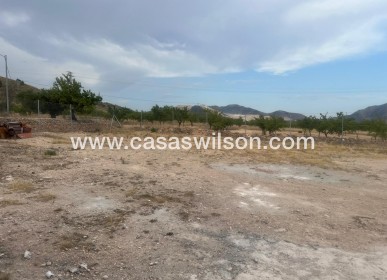 Sale - Villa - La Solana